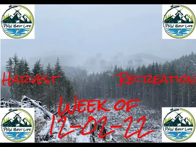 'Video thumbnail for WA Coastal Steelhead Update! Winter weather edition - PNW Harvest Recreation Dec 2, 2022'