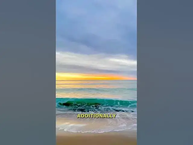 'Video thumbnail for 🇲🇽 Travel Risks in Mexico – Stay Safe & Enjoy Your Trip 🌴'