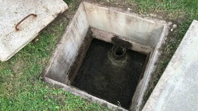 'Video thumbnail for Septic Lesson#2 Simple Septic Problems'