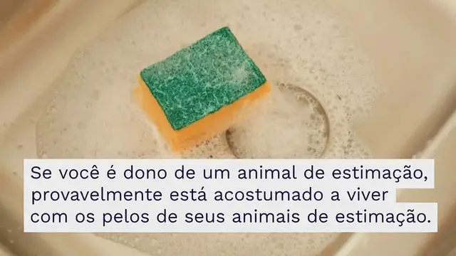 'Video thumbnail for Jogue uma esponja de lavar louça na máquina de lavar: o truque de mágica que resolve um problema comum'