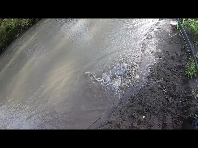 'Video thumbnail for Detecting the bite while drift fishing for salmon'