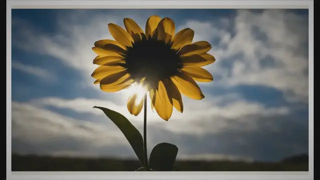 'Video thumbnail for What is a Good Prayer for a Celebration of Life?'