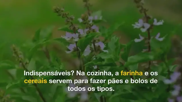 'Video thumbnail for O truque caseiro para tirar as traças da comida do armário'
