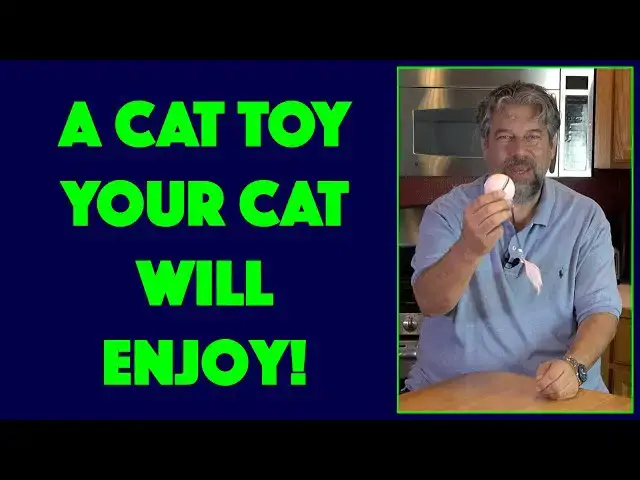 'Video thumbnail for FEEKO Interactive Cat Toy -- DEMO + REVIEW'