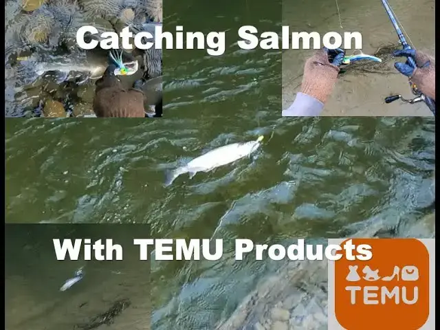 'Video thumbnail for Catching salmon with TEMU products'