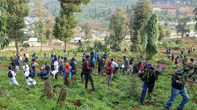 'Video thumbnail for Ethiopians plant 700 million tree seedlings in a day in reforestation campaign'