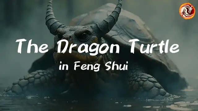 'Video thumbnail for The Dragon Turtle in Chinese Mythology and as Feng Shui Cure'