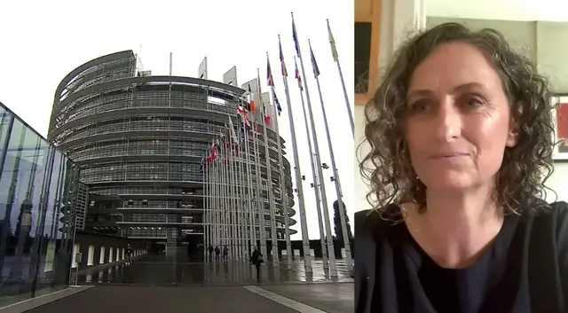 'Video thumbnail for Dozens of EU lawmakers demand sanctions, arms embargo on Israel'