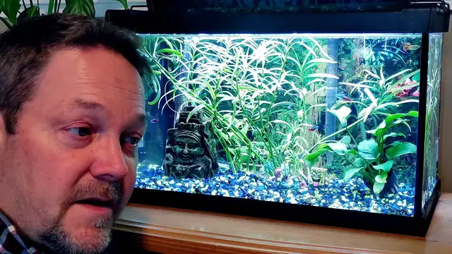 'Video thumbnail for When to Change Aquarium Water'