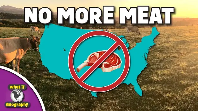 'Video thumbnail for What If The United States Was Vegan? A Plant-Based Country'
