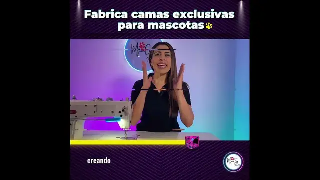 'Video thumbnail for 🐕Crea tu propio negocio de camas para mascotas  ❤️'