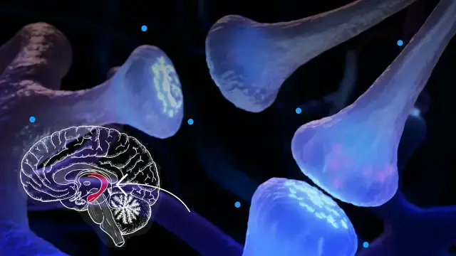 'Video thumbnail for How and why your memories shift over time, explained by neuroscience '
