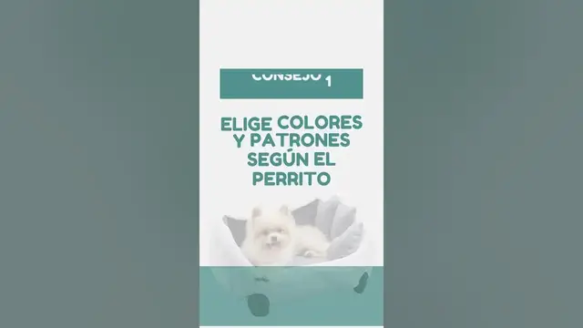 'Video thumbnail for 馃悤 驴Te encanta la costura y el DIY? 鉁傦笍 #negociodesdecasa'