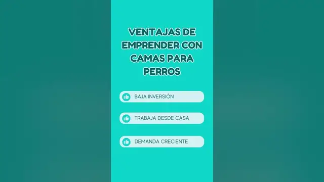 'Video thumbnail for 馃悤驴Quieres emprender pero temes la inversi贸n inicial? #camasparaperros #negociodesdecasa'