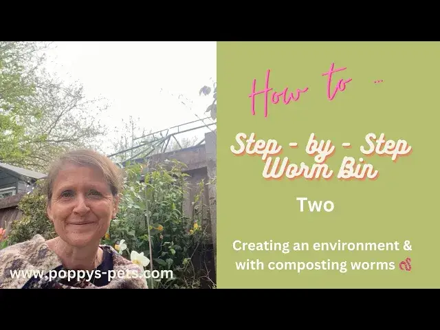 'Video thumbnail for Video Two: Step 2 - What Can You Upcycle to Make Compost Worm Bedding CHALLENGE'