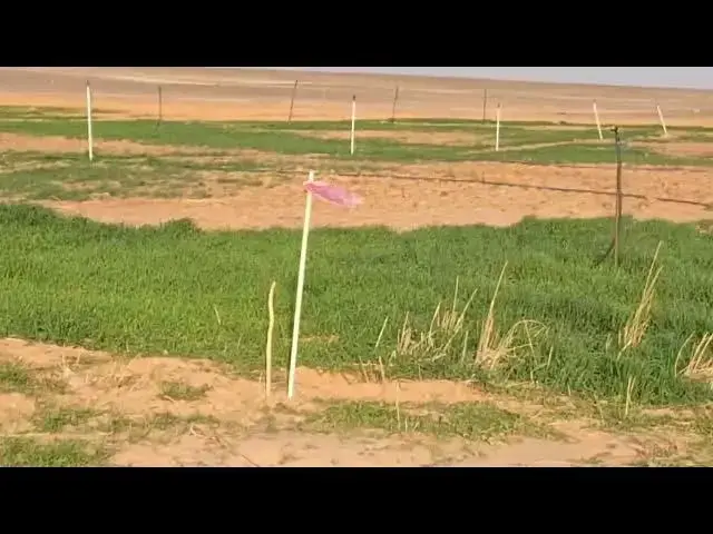 'Video thumbnail for الترا مخصبات التربة #اسمدة'