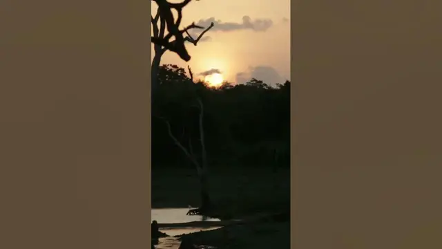 'Video thumbnail for Moonlight at the lake #shorts'