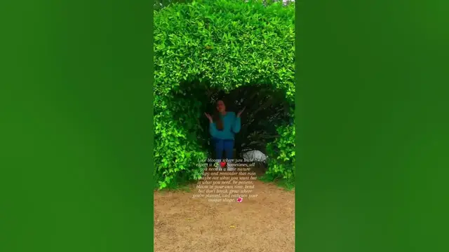 'Video thumbnail for Nature therapy #shorts'