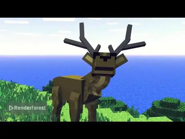 'Video thumbnail for Animation starts at 25th'