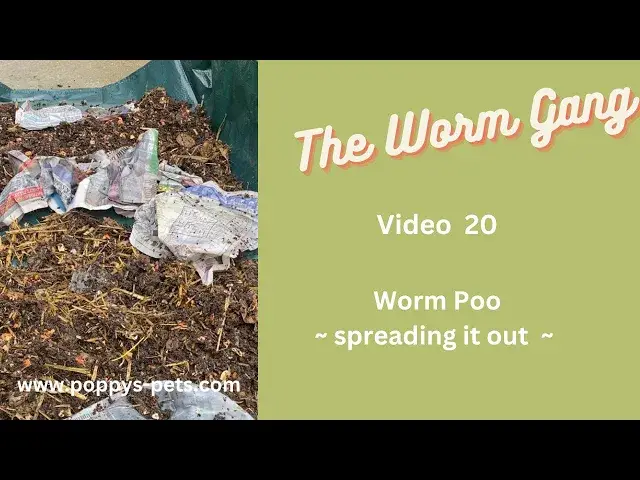 'Video thumbnail for Video 20: Option One - Harvesting Worm Poo From the Working Tray #wormcastings'