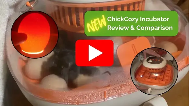 'Video thumbnail for Old vs New ChickCozy Incubator – Side by Side Egg Hatching Test'