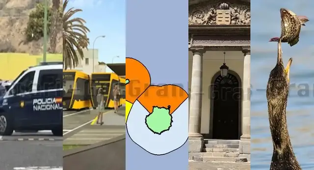 'Video thumbnail for Gran Canaria Wochenrückblick vom 23-3-25'