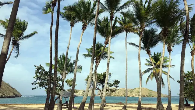 'Video thumbnail for Caribbean Snorkeling in the Jacques Cousteau Reserve'