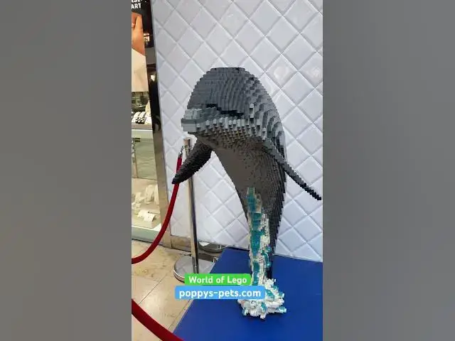 'Video thumbnail for Wildlife Lego Creations in Peterborough '