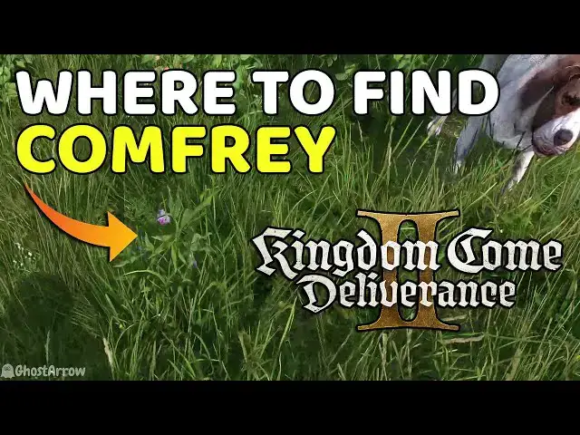 'Video thumbnail for Where to Find Comfrey Location - Kingdom Come Deliverance 2'