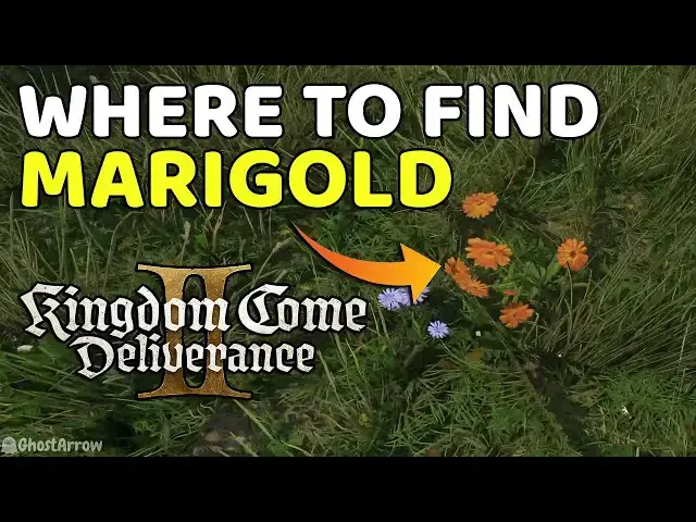 'Video thumbnail for Where to Find Marigold Location - Kingdom Come Deliverance 2'