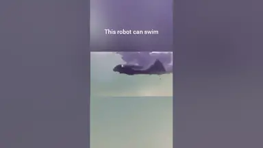 'Video thumbnail for This robot is swimming faster than any human could ever dream of! #robot #swimming #electrical'