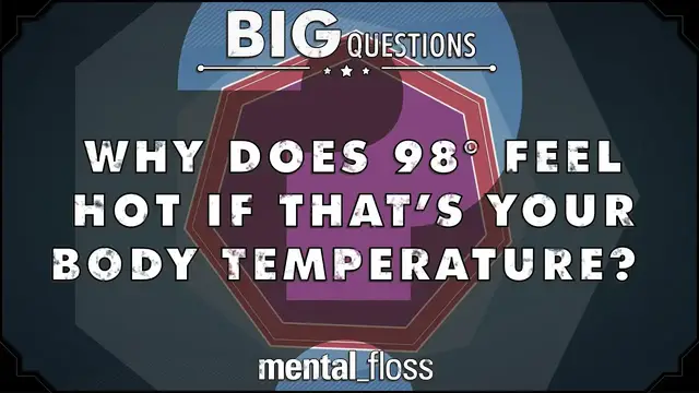 'Video thumbnail for Why does 98 degrees feel hot if that's your body temperature? - Big Questions - (Ep. 32)'