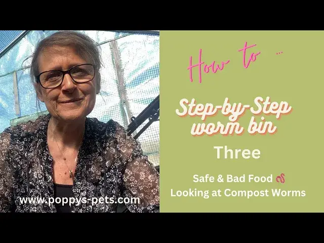 'Video thumbnail for Video Three: Step 3 - Where To Get Worms & Feeding Your Compost Worms - CHALLENGE'
