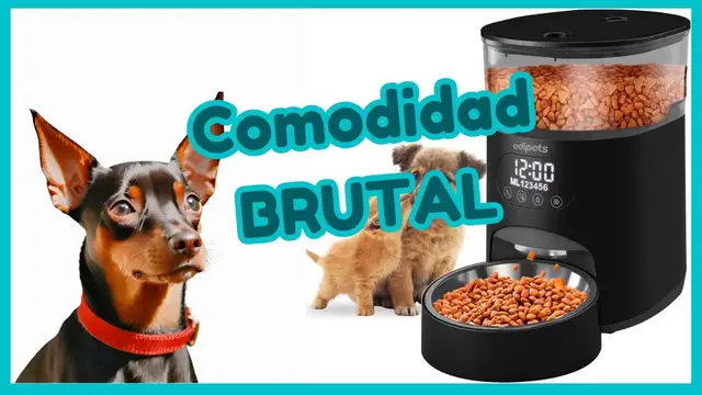 'Video thumbnail for 馃悤Comedero AUTOM脕TICO para PINSCHER MINIATURA 鉂わ笍'