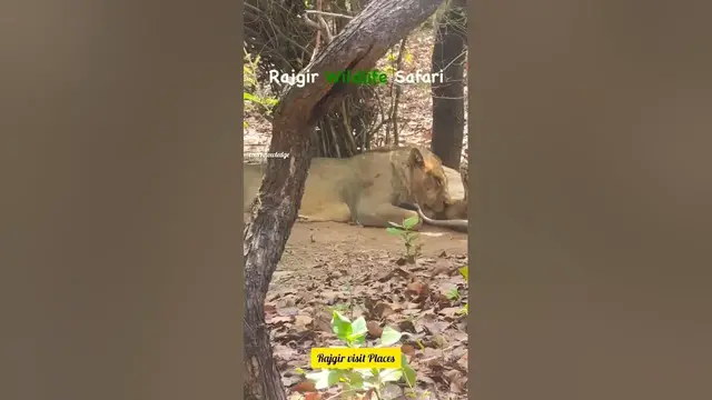 'Video thumbnail for Rajgir Famous Places to visit'
