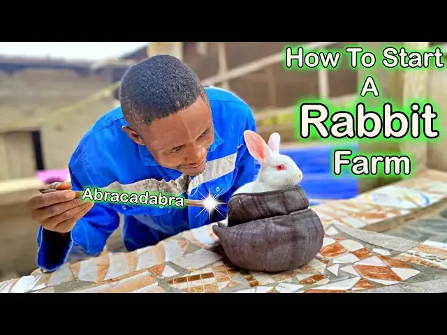 'Video thumbnail for Rabbit Farming? What You Need to Know. 🐰🌱'