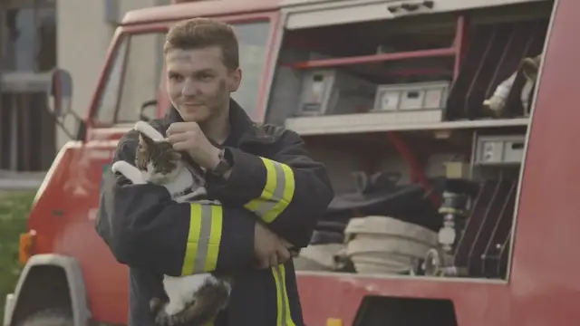 'Video thumbnail for Heroic Cat Mom Leads Rescuers to Her Kittens in Need'