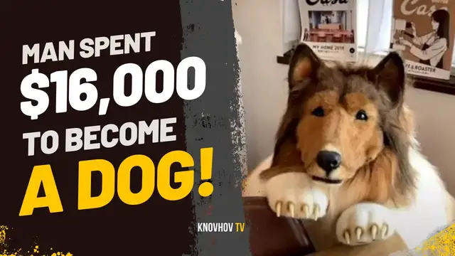'Video thumbnail for Man Spent $16,000 To ‘Become A Dog’, Barks Out In The First Interview'