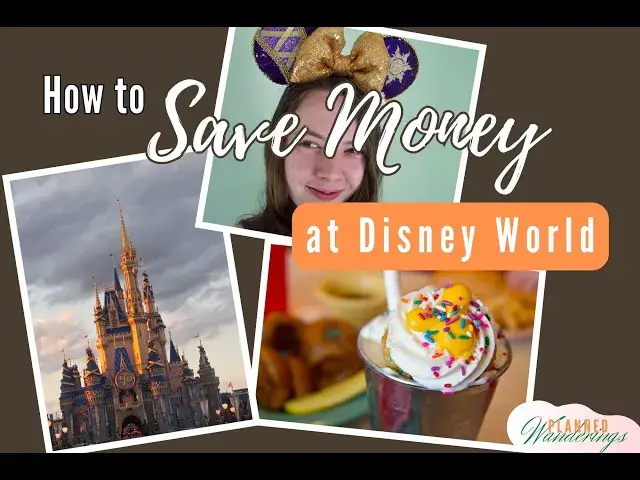 'Video thumbnail for How to Save Money at Disney'