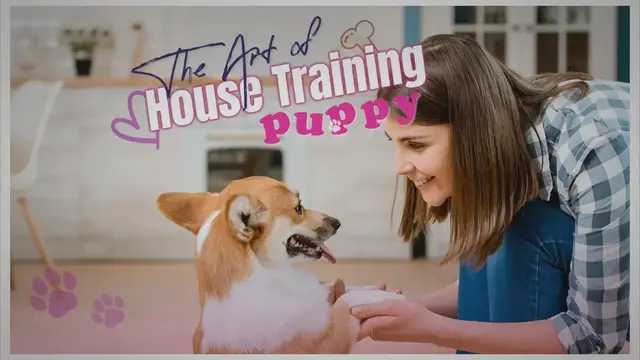 'Video thumbnail for The Art of House Training a Puppy'