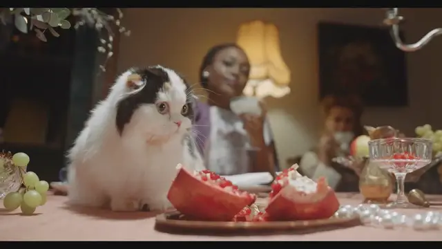 'Video thumbnail for MiuMiu: The Cat That Looks Like a Cow'
