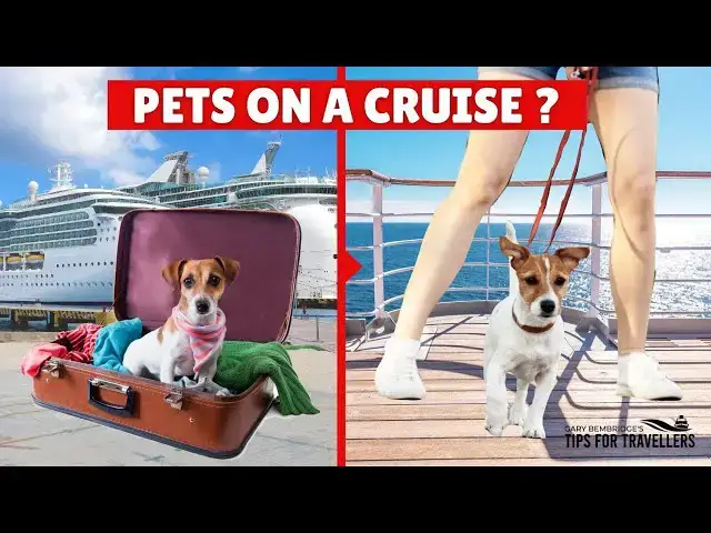 'Video thumbnail for What Are The 6 Cruises You Can Take Your Pets On?'