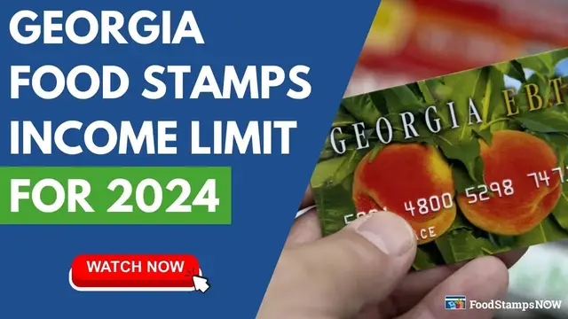 'Video thumbnail for Georgia Food Stamps Income Limits for 2024'