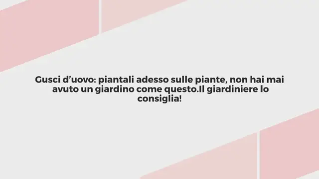 'Video thumbnail for Gusci d’uovo: piantali adesso sulle piante, non hai mai avuto un giardino come questo. Il giardiniere lo consiglia!'