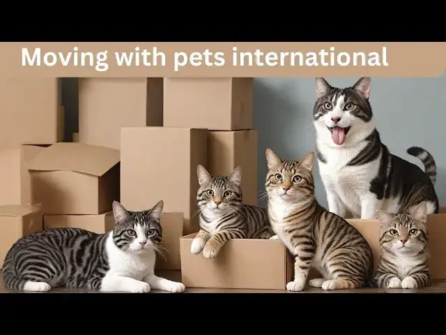 'Video thumbnail for Moving Abroad with Pets: Essential Tips & Tricks for a Smooth Relocation'