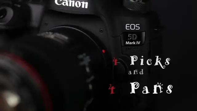 'Video thumbnail for Canon 5D Mark IV: 4 Picks and 4 Pans'