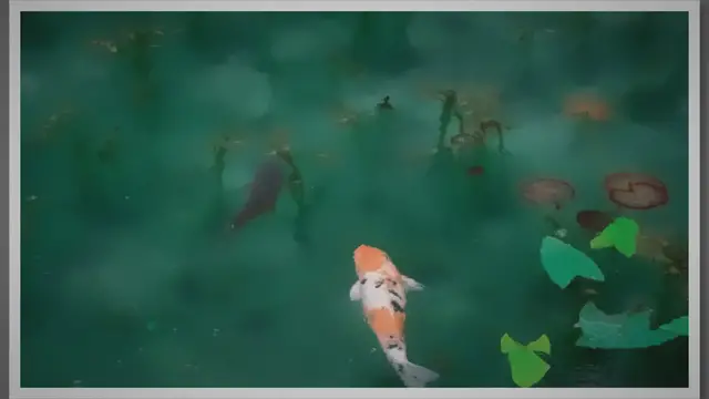 'Video thumbnail for 10 Types Of Fish For Aquaponics: The Ideal Fish Species For Your Aquaponics System'