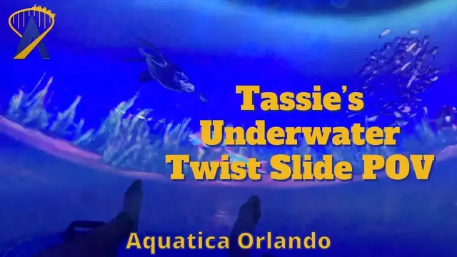 'Video thumbnail for POV of Tassie's Underwater Twist waterslide at Aquatica Orlando'