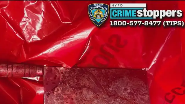 'Video thumbnail for NYC stabbing spree leaves 4 children injured'