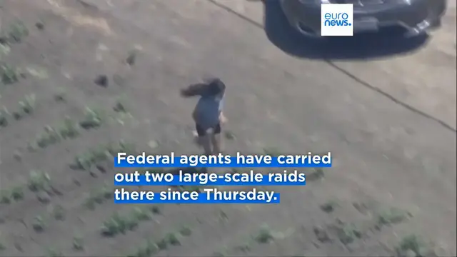 'Video thumbnail for Agents clash with protesters during ICE raids at southern California marijuana farm'